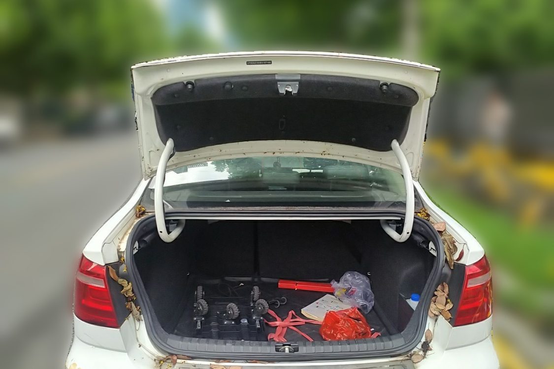 Volkswagen Bora 2013 car image #8