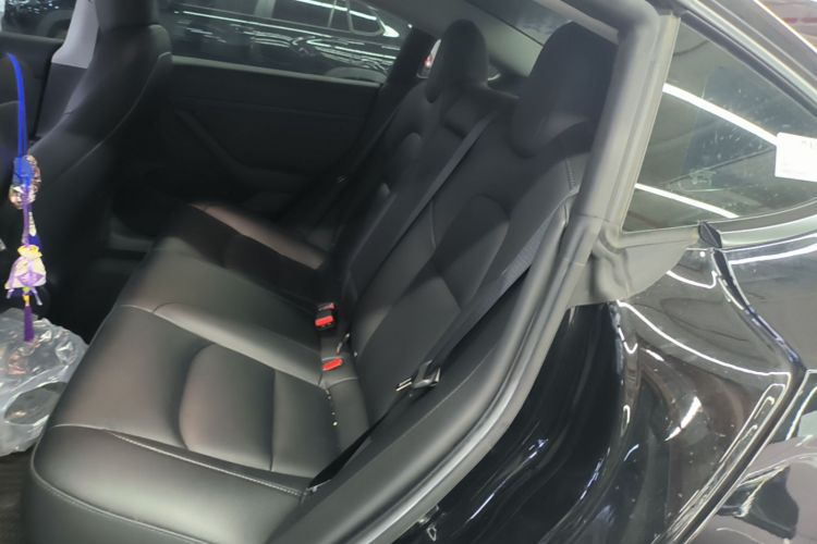 Tesla Model 3 2022 #17 Tesla Model 3 2022 car image #17