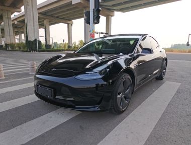 Tesla Model 3 2020 Tesla Model 3 2020 car image