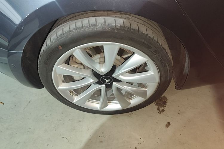Tesla Model 3 2020 immagine di auto #10