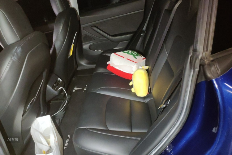 Tesla Model 3 2020 car image #19