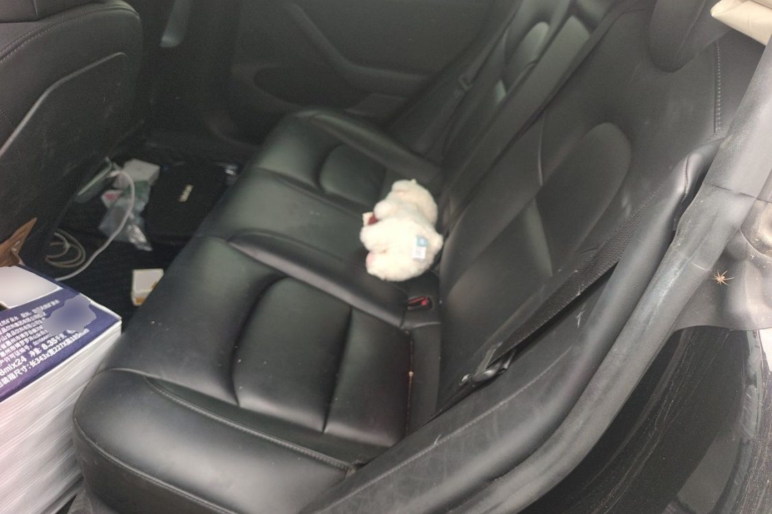 Tesla Model 3 2021 car image #19