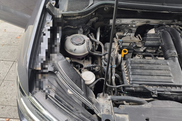 Volkswagen Tharu 2021 car image #26