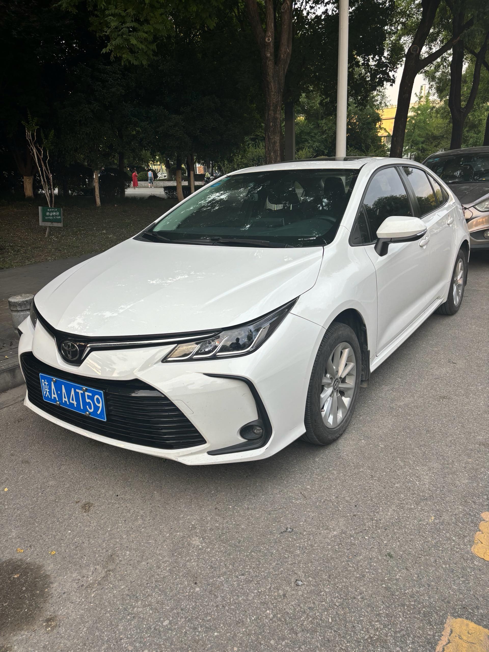 Toyota Corolla 2019 Toyota Corolla 2019 汽车图片