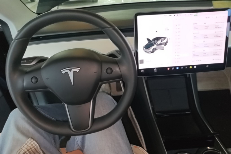 特斯拉 Model 3 2020 汽车图片 #10