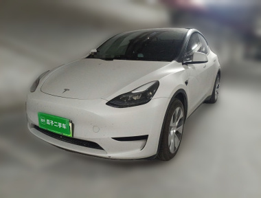 Tesla Model Y 2022 car image 