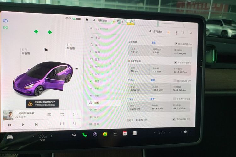Tesla Model 3 2020 car image #12