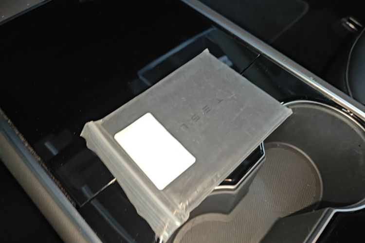 Tesla Model 3 2020 car image #14