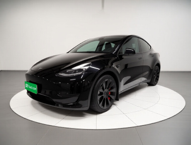 Tesla Model Y 2022 Tesla Model Y 2022 car image