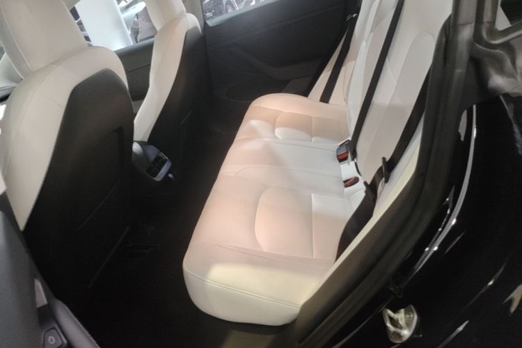 Tesla Model 3 2021 car image #17