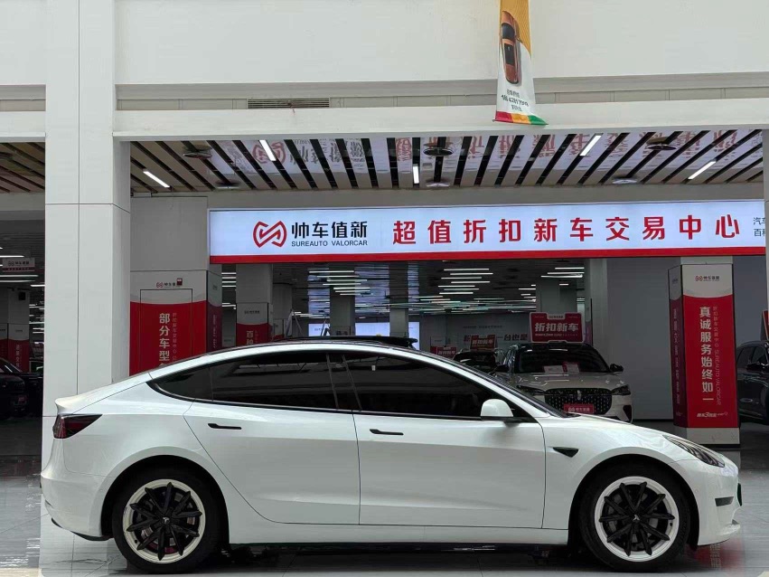 Tesla Model 3 2022 car image #4