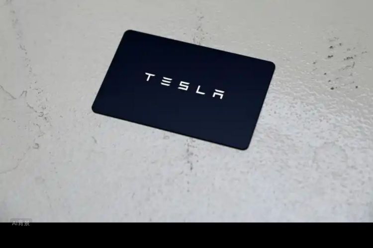 Tesla Model 3 2021 car image #10