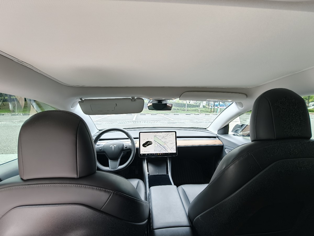 Tesla Model 3 2020 car image #8