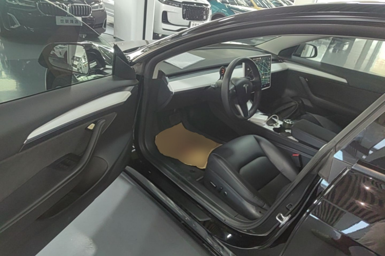 Tesla Model 3 2021 #12 Tesla Model 3 2021 car image #12