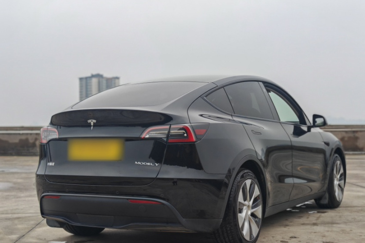Tesla Model Y 2021 immagine di auto #7