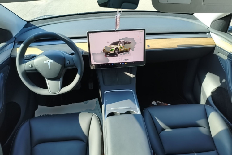 Tesla Model Y 2022 #10 Tesla Model Y 2022 car image #10