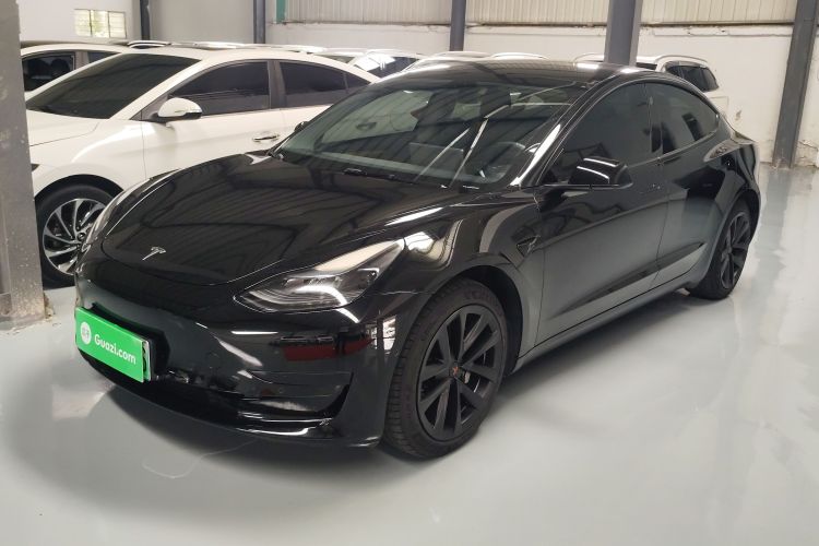Tesla Model 3 2022 #2 Tesla Model 3 2022 car image #2