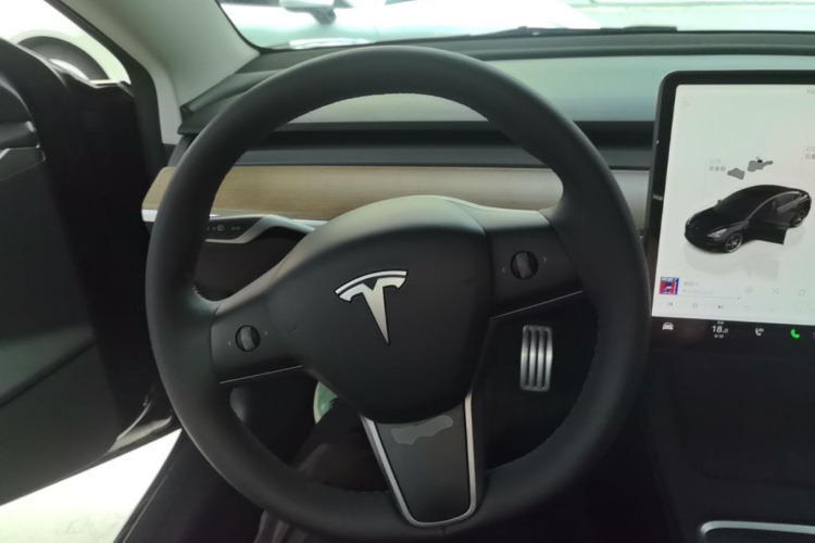 Tesla Model 3 2022 car image #11