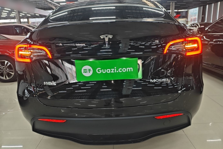 Tesla Model Y 2023 immagine di auto #6