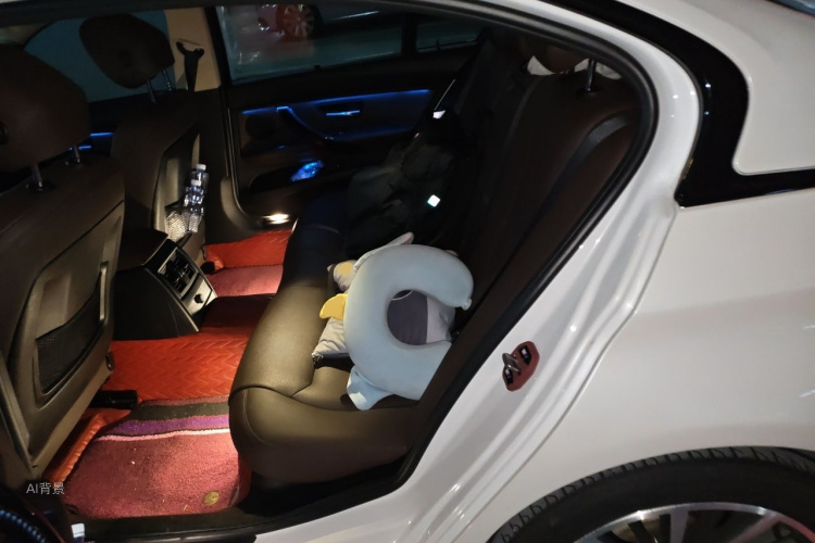 BMW 3 Series 2018 car image #19