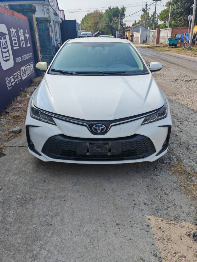 Toyota Corolla 2023 car image 