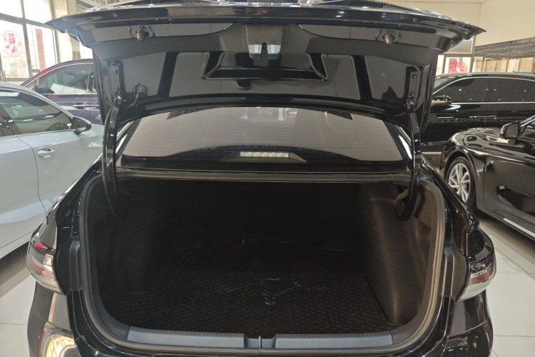 大众 朗逸 2024 汽车图片 #21