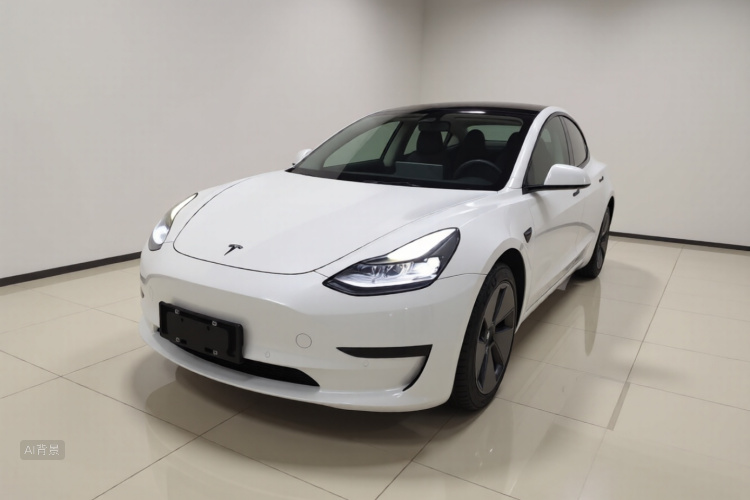 Tesla Model 3 2021 car image #2