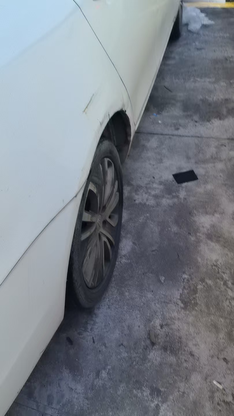 GEELY Emgrand New Energy 2018 car image #4