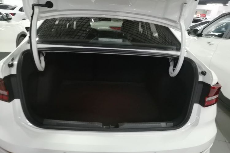 Volkswagen Lavida 2021 car image #19