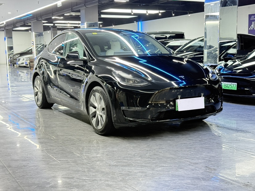 Tesla Model Y 2021 #3 Tesla Model Y 2021 car image #3