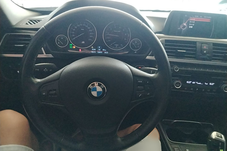 BMW 3 Series 2016 car image #13