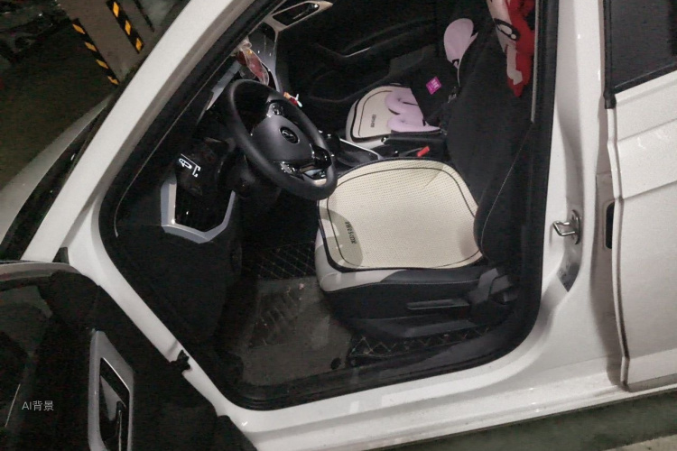 Volkswagen Polo 2021 car image #17
