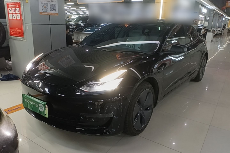 Tesla Model 3 2020 #2 Tesla Model 3 2020 car image #2