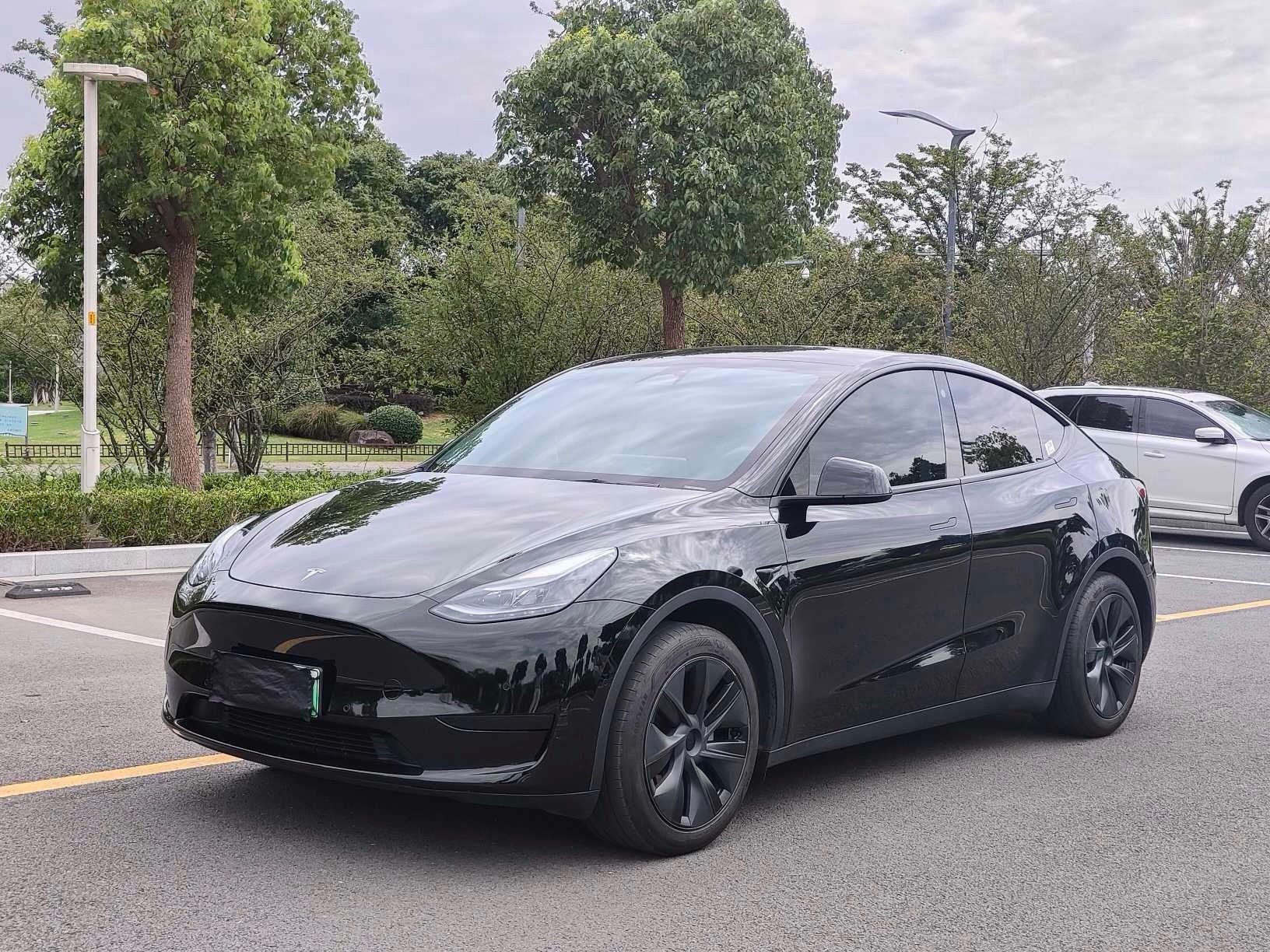 Tesla Model Y 2024 car image 