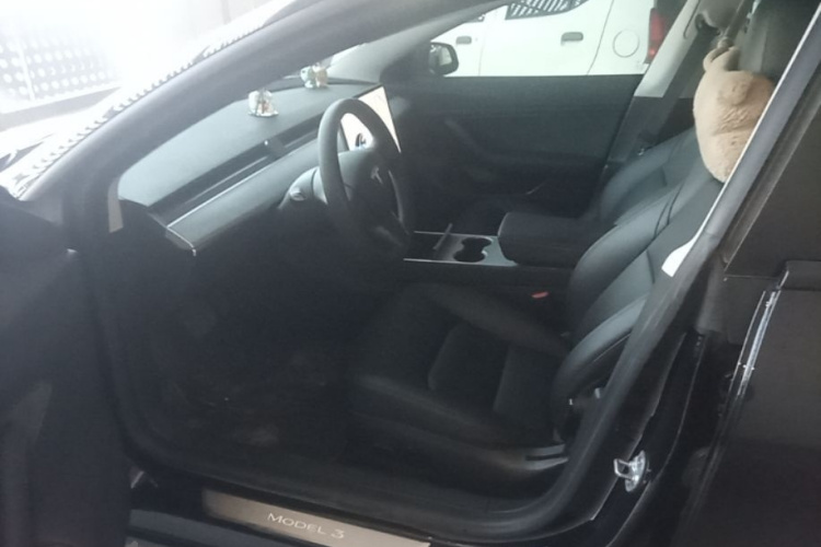 Tesla Model 3 2020 car image #12