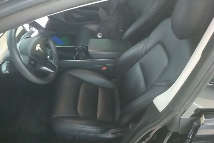 Tesla Model 3 2020 car image #15
