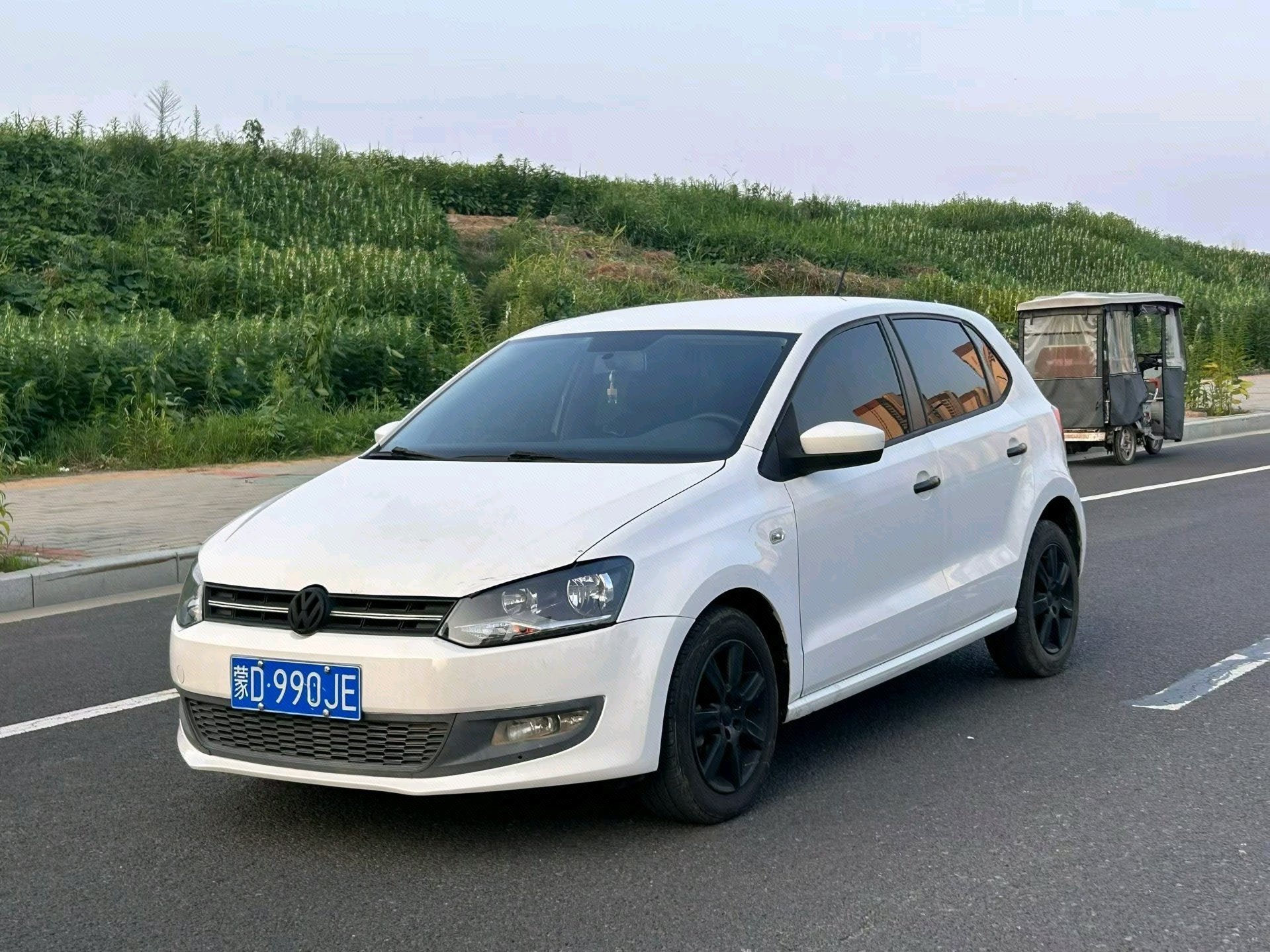 Volkswagen Polo 2013 Volkswagen Polo 2013 car image