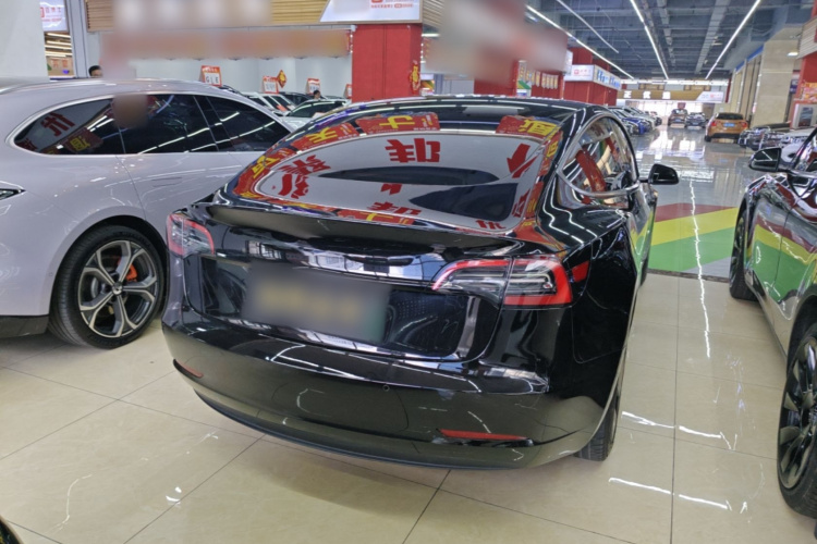 Tesla Model 3 2023 #7 Tesla Model 3 2023 car image #7