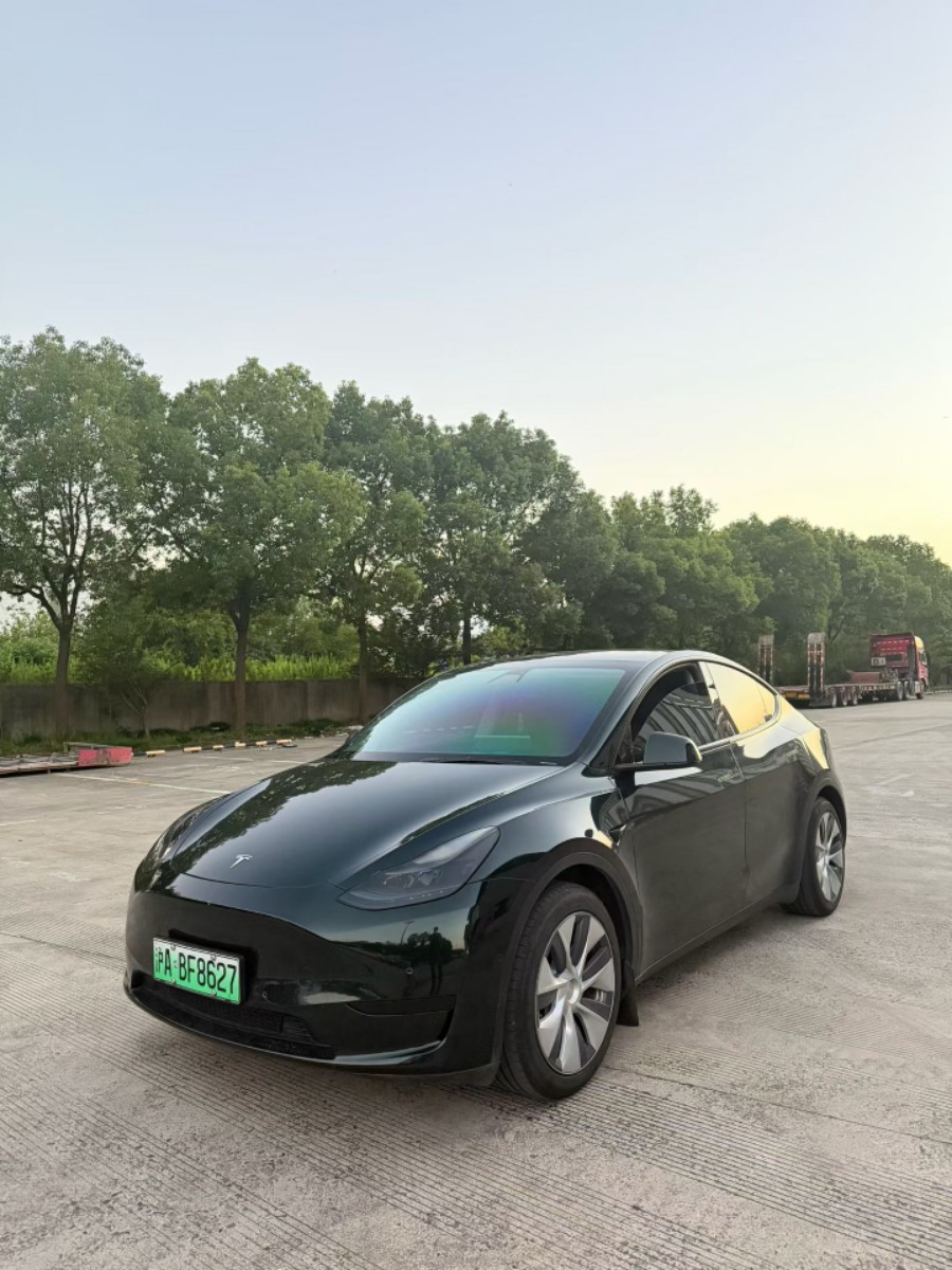 Tesla Model Y 2022 Tesla Model Y 2022 car image