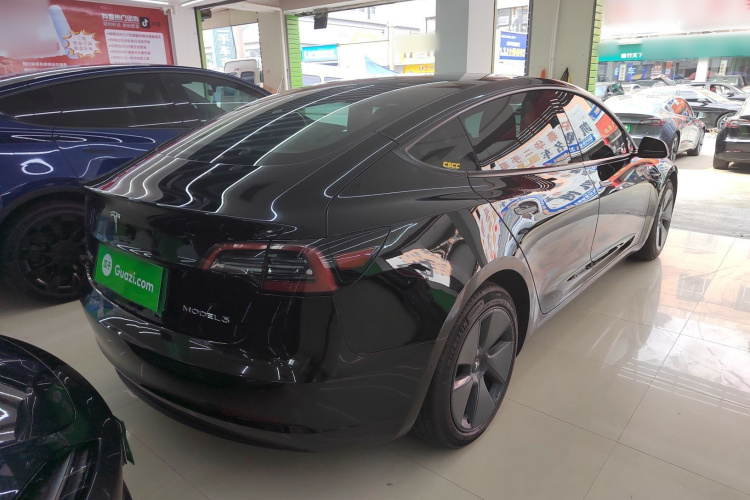 Tesla Model 3 2022 #7 Tesla Model 3 2022 car image #7