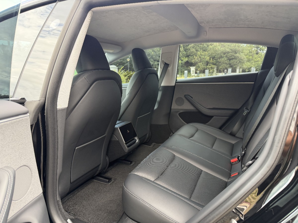Tesla Model 3 2024 car image #10