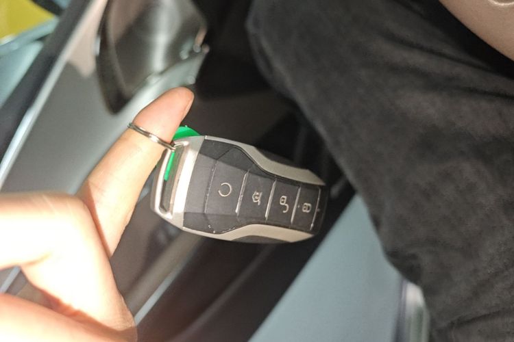 BYD Han 2020 #9 BYD Han 2020 immagine di auto #9