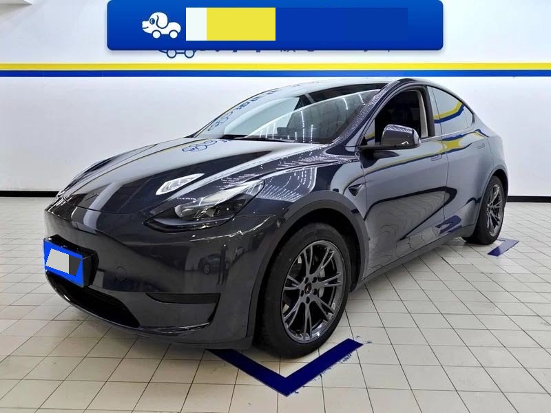 Tesla Model Y 2023 Tesla Model Y 2023 car image