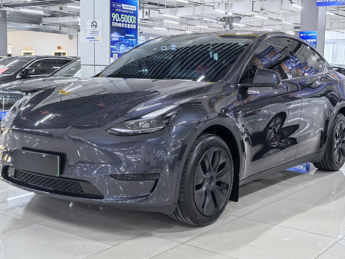Tesla Model Y 2024 Tesla Model Y 2024 car image
