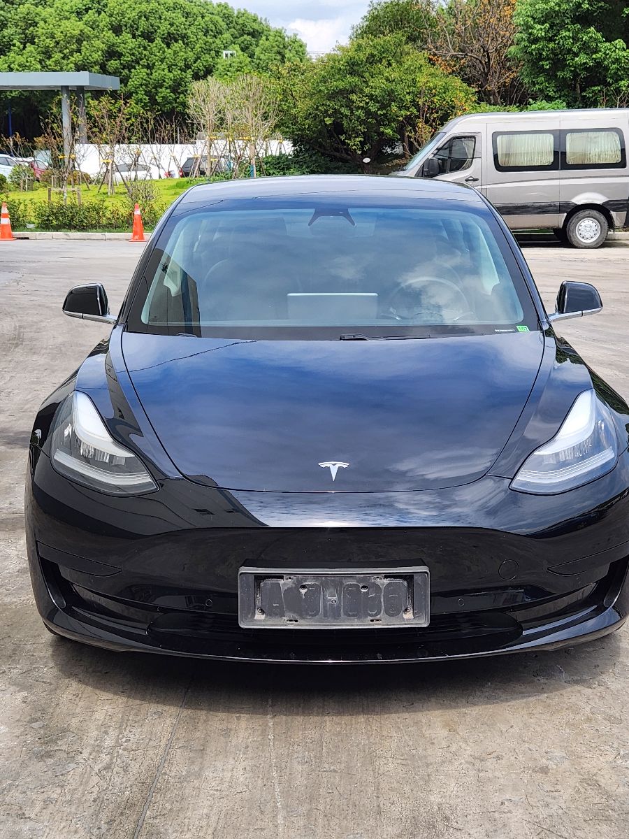 Tesla Model 3 2020 #2 Tesla Model 3 2020 car image #2
