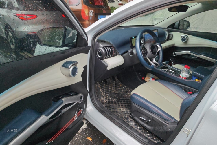 BYD Yuan Plus 2022 car image #18