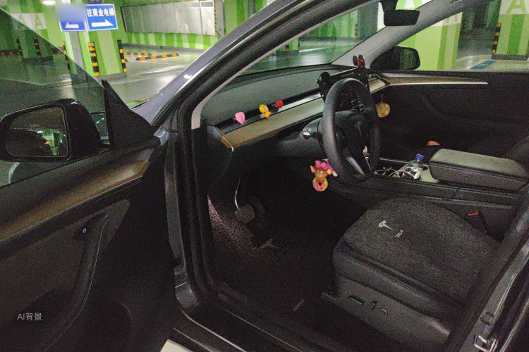 Tesla Model Y 2022 car image #18