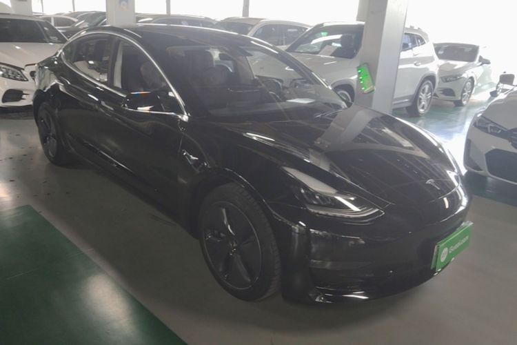 Tesla Model 3 2020 car image #4