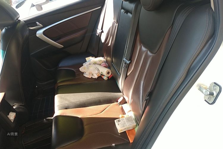 GEELY Emgrand 2017 car image #19