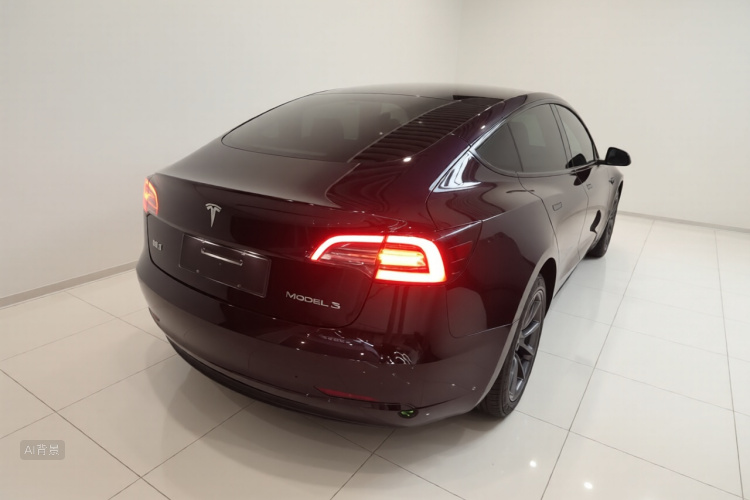 Tesla Model 3 2021 car image #7